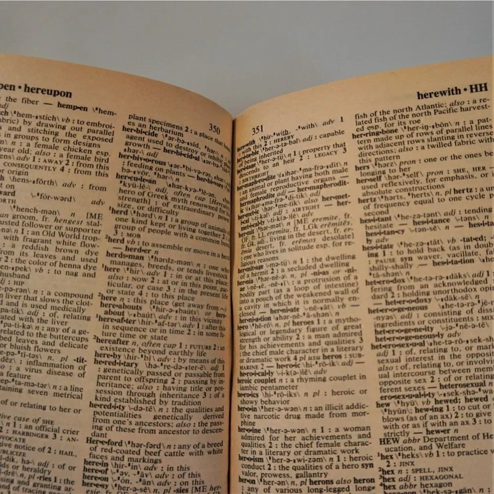 Merriam-Webster Dictionary 1997 Paperback